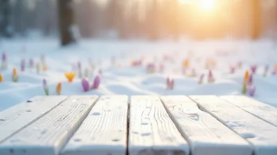 Wooden Table Surface With Spring Crocuses In Snow