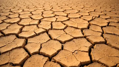 Dry Cracked Earth Surface Under Intense Sunlight