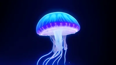 Glowing Bioluminescent Jellyfish Swimming In Deep Dark Ocean