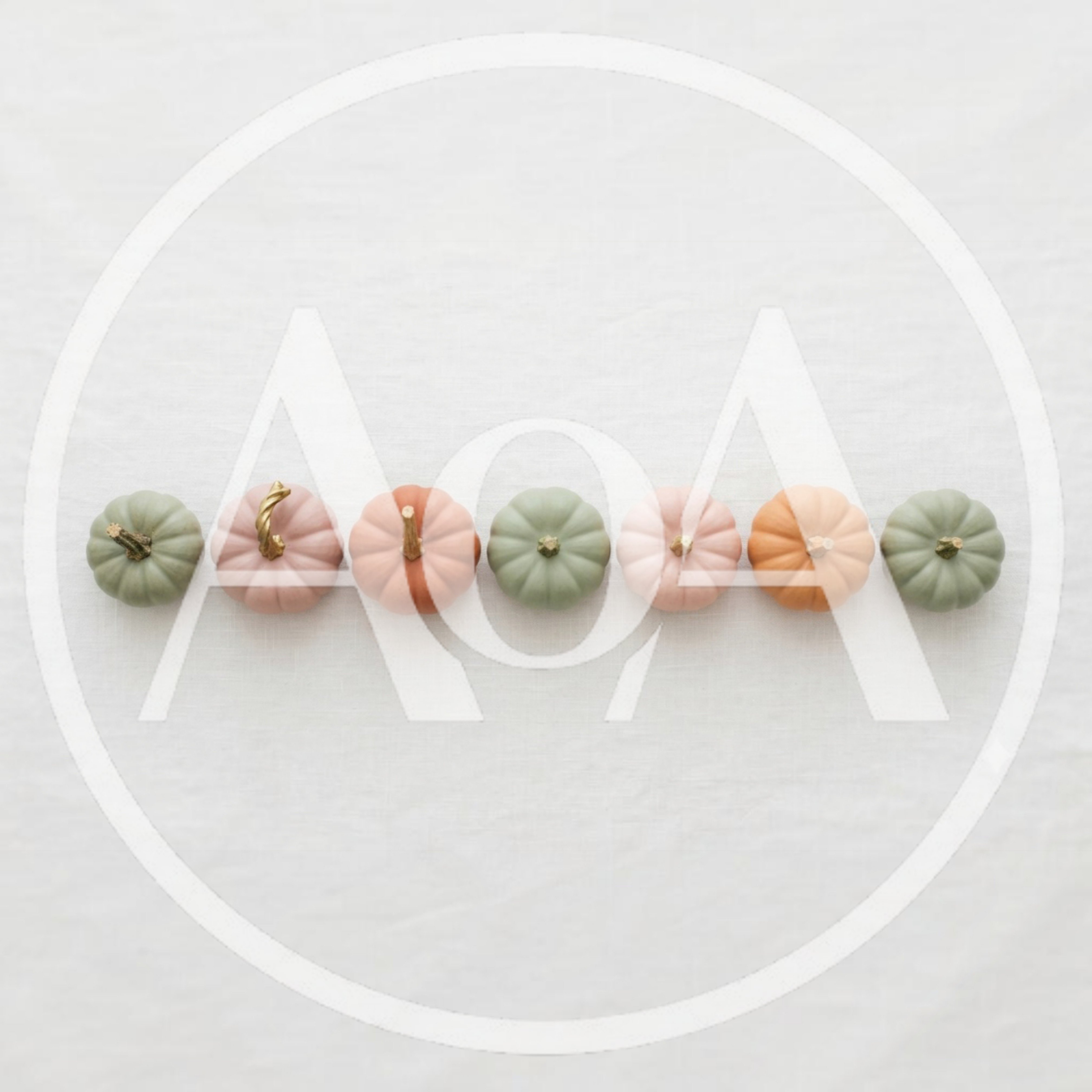 Row Of Pastel Colored Decorative Pumpkins