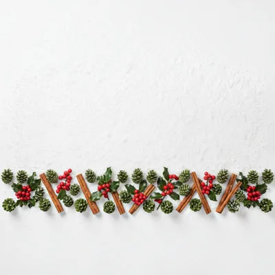Christmas Holiday Border With Pinecones And Cinnamon Sticks