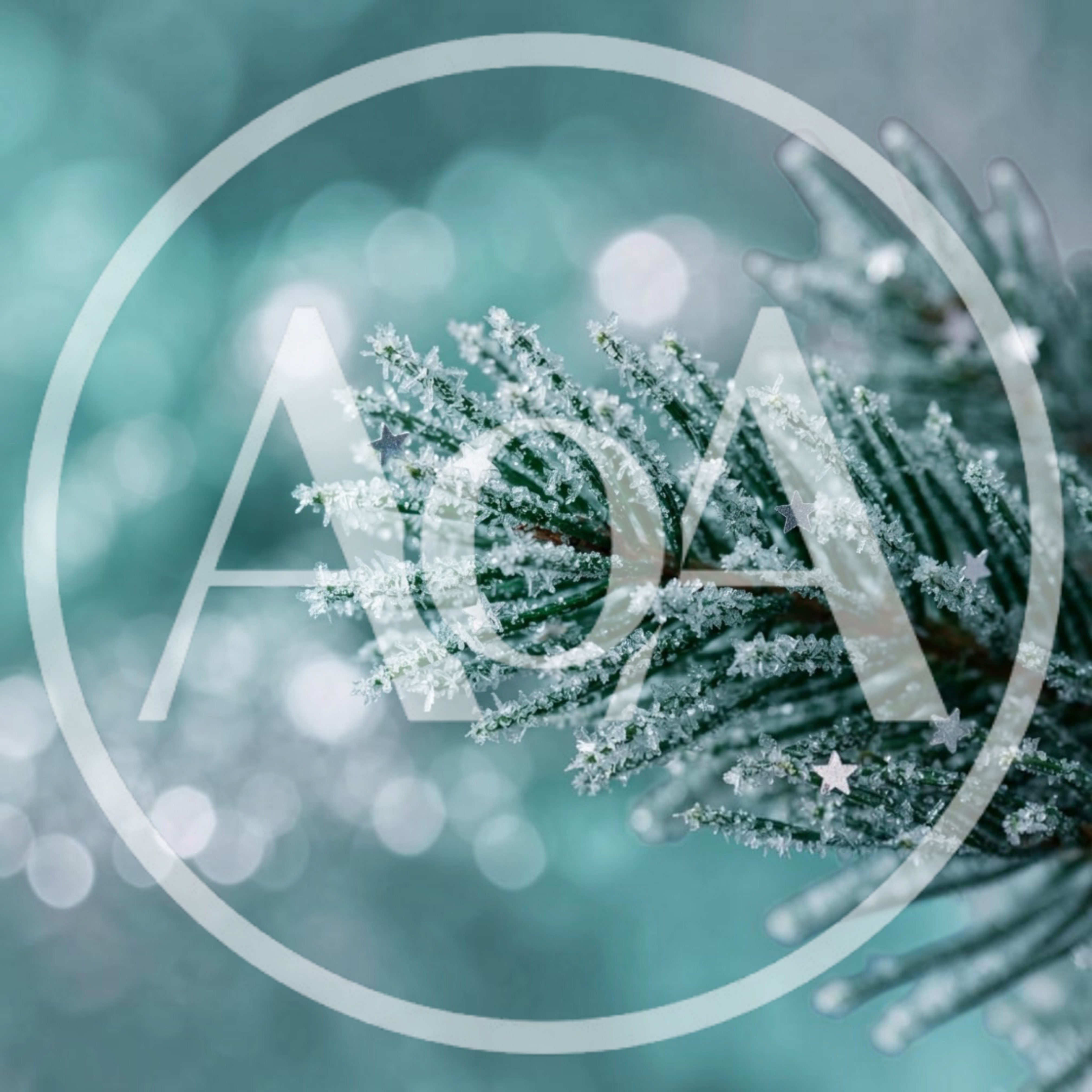Frosted Pine Branch With Decorative Silver Stars