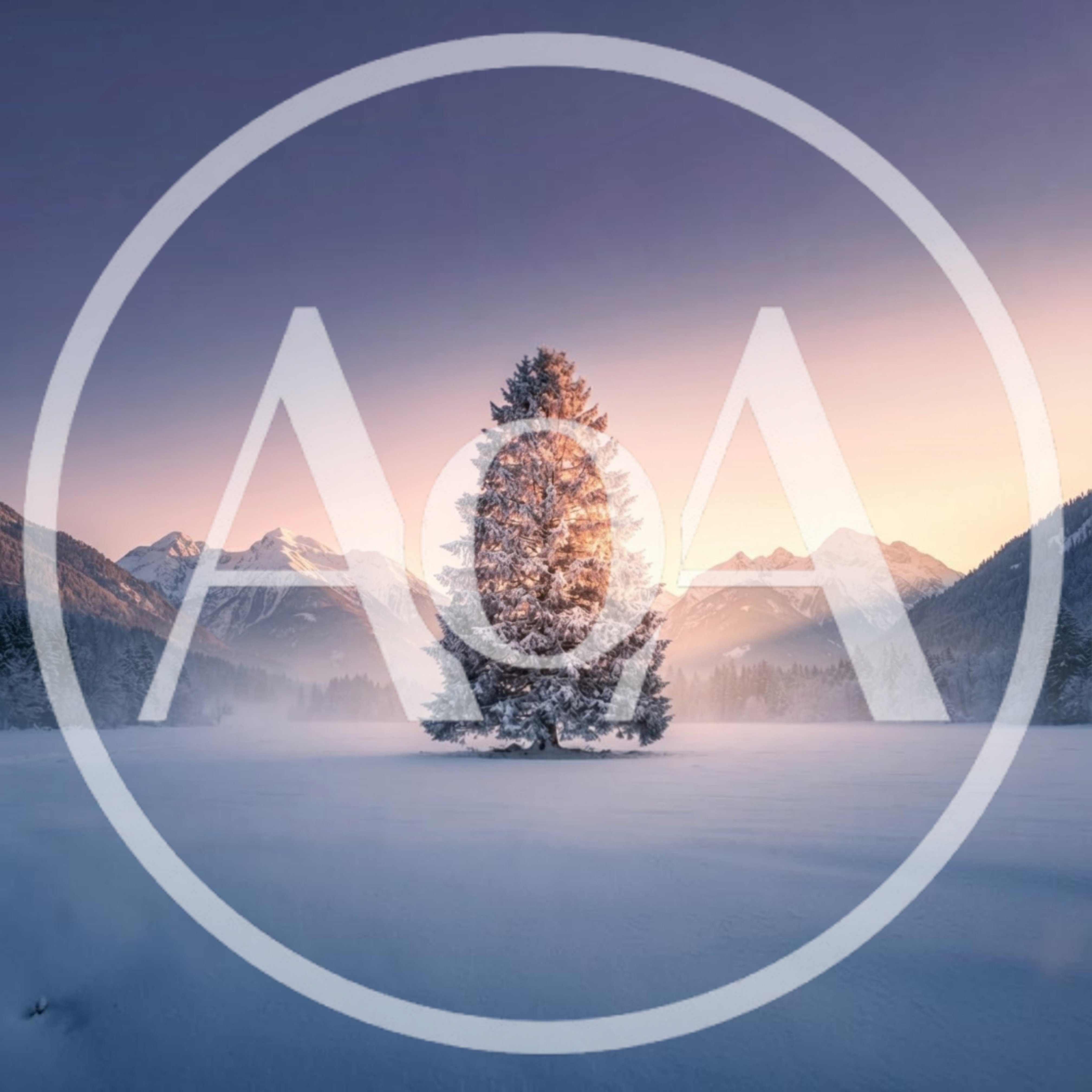 Solitary Snow Covered Pine Tree In Mountain Landscape