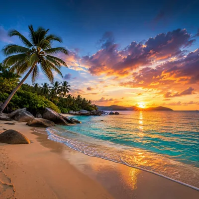 Tropical Beach Sunset With Palm Trees And Rocks