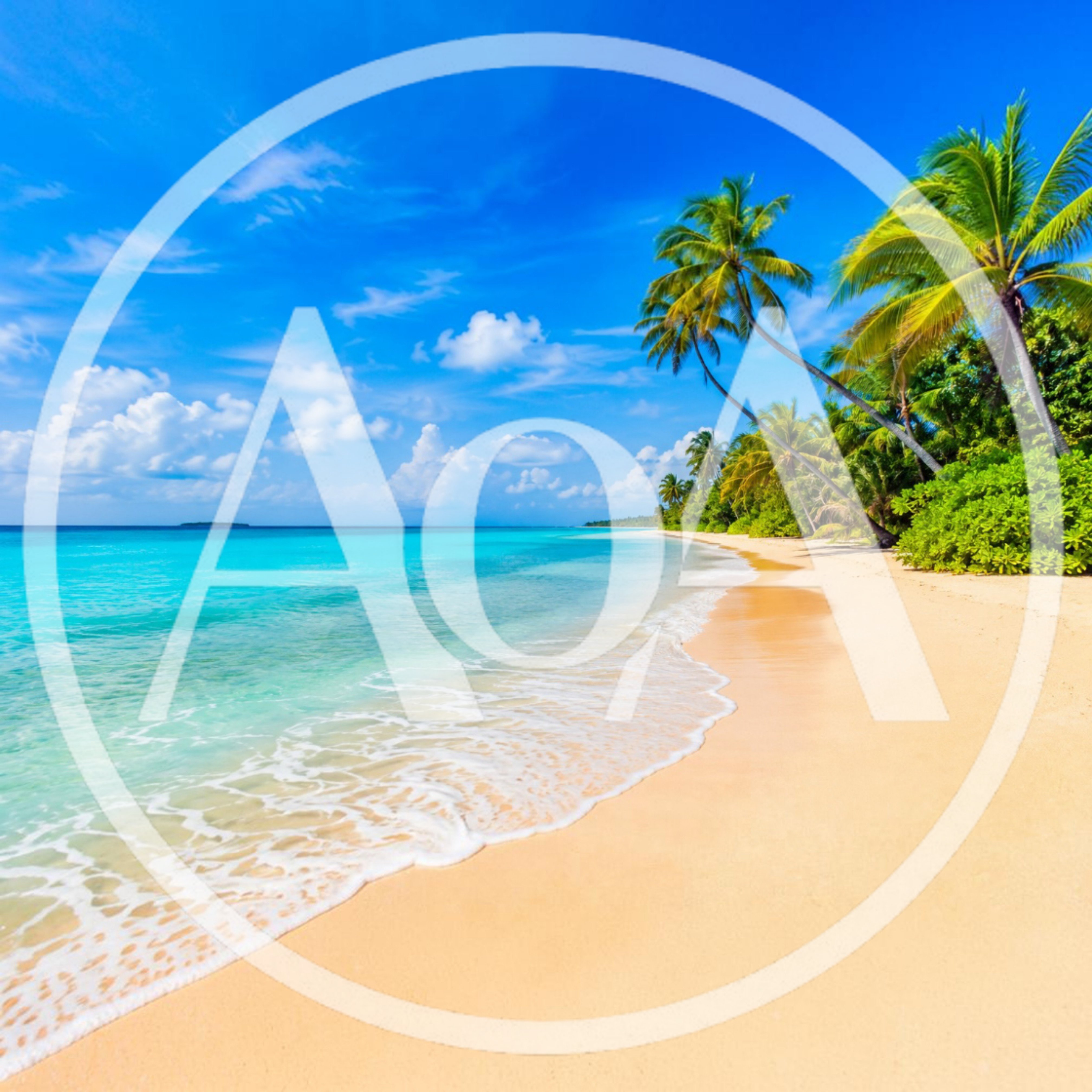 Tropical Beach With Palm Trees And Turquoise Water
