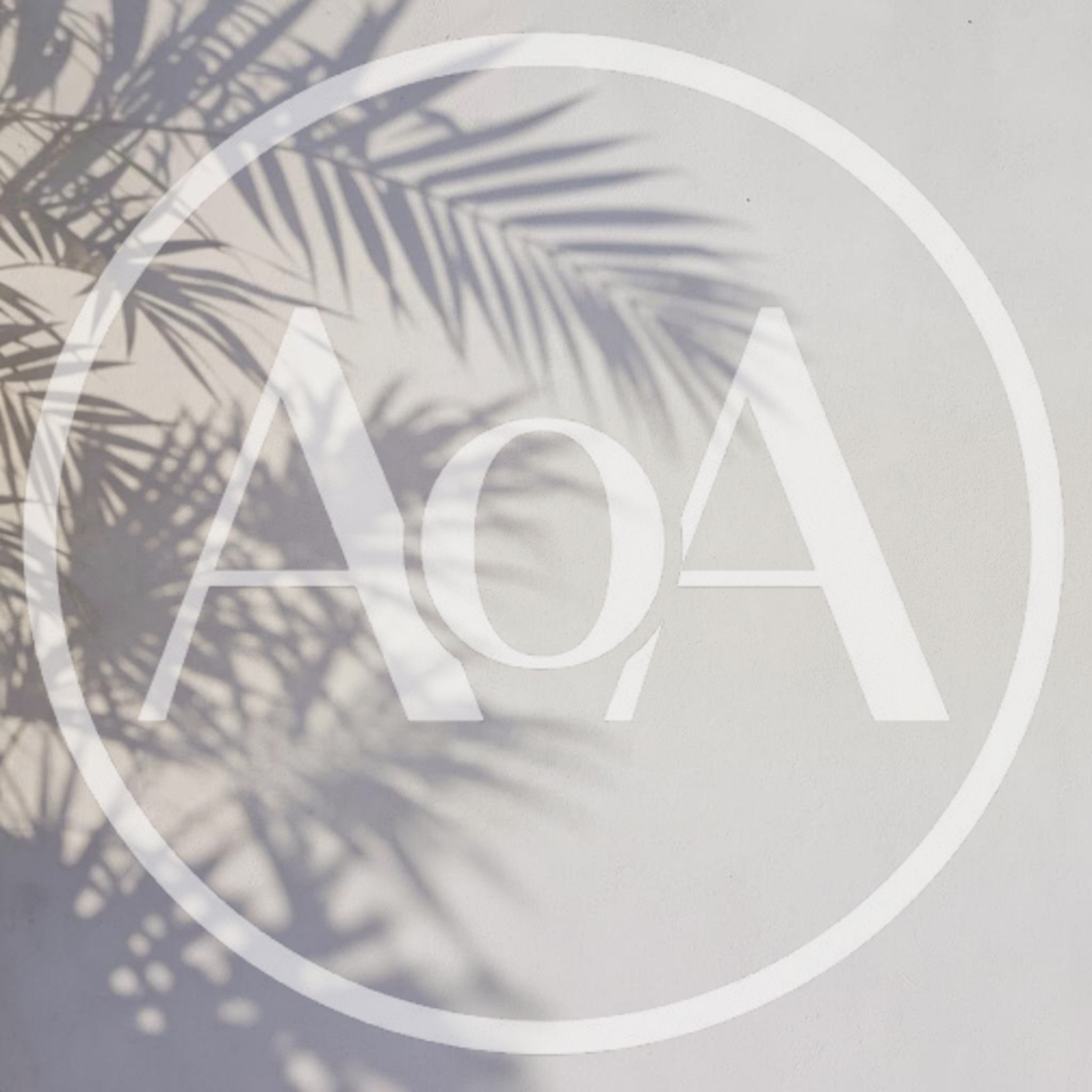 Palm Leaf Shadow On White Wall