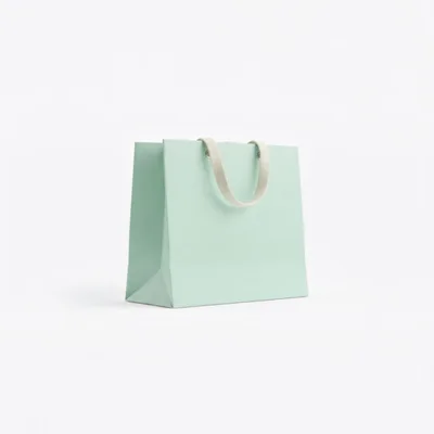 Minimalist Pastel Green Paper Shopping Bag