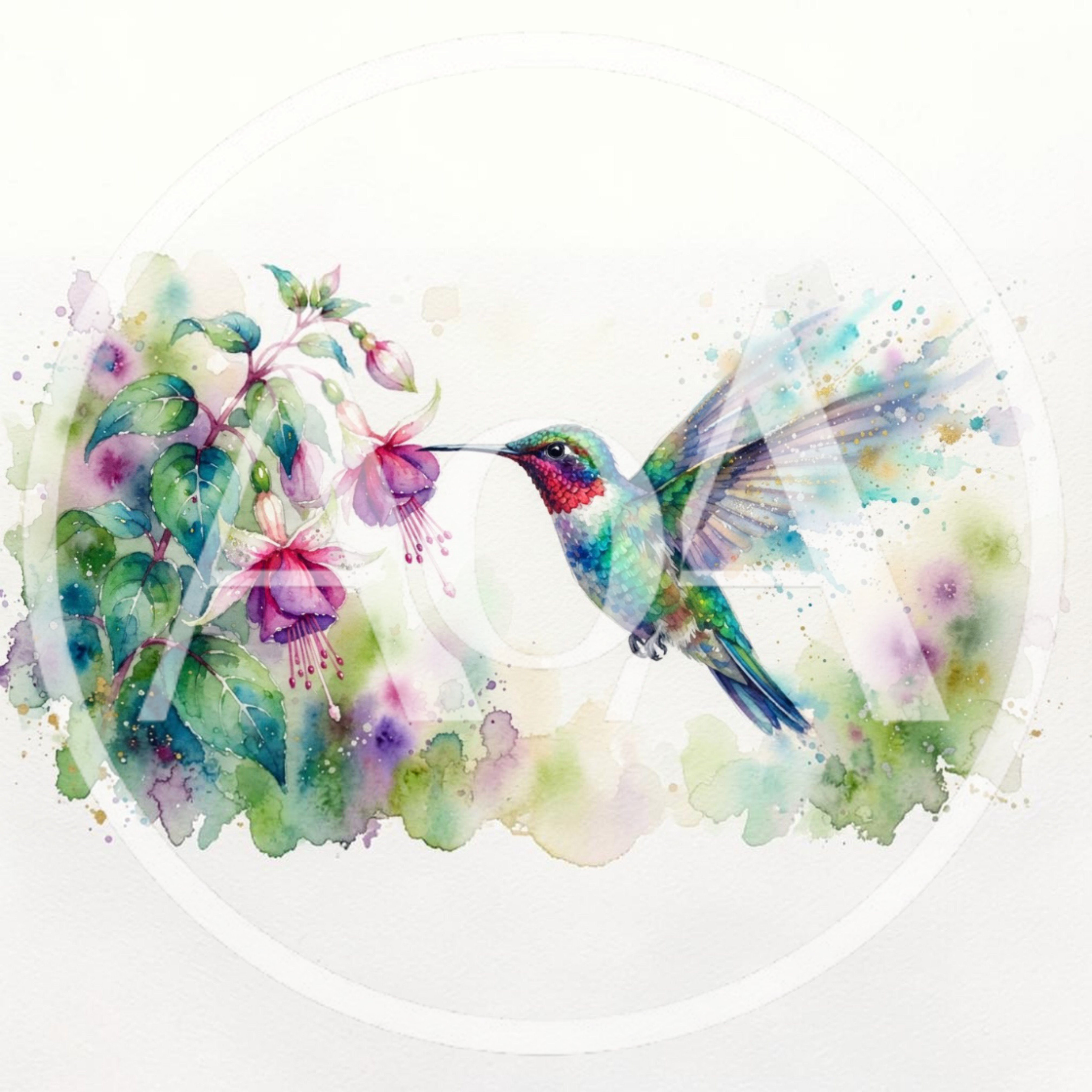 Watercolor Hummingbird Feeding From Fuchsia Flowers