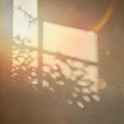 Sunlight Casting Window Shadow On Textured Wall