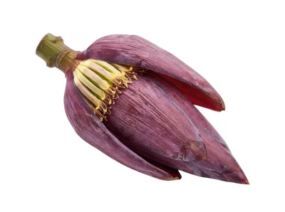 Fresh Banana Blossom Isolated On White Background
