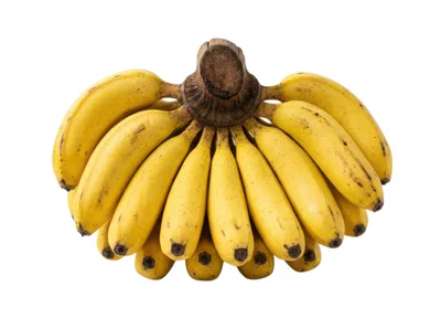Bunch Of Fresh Ripe Yellow Bananas