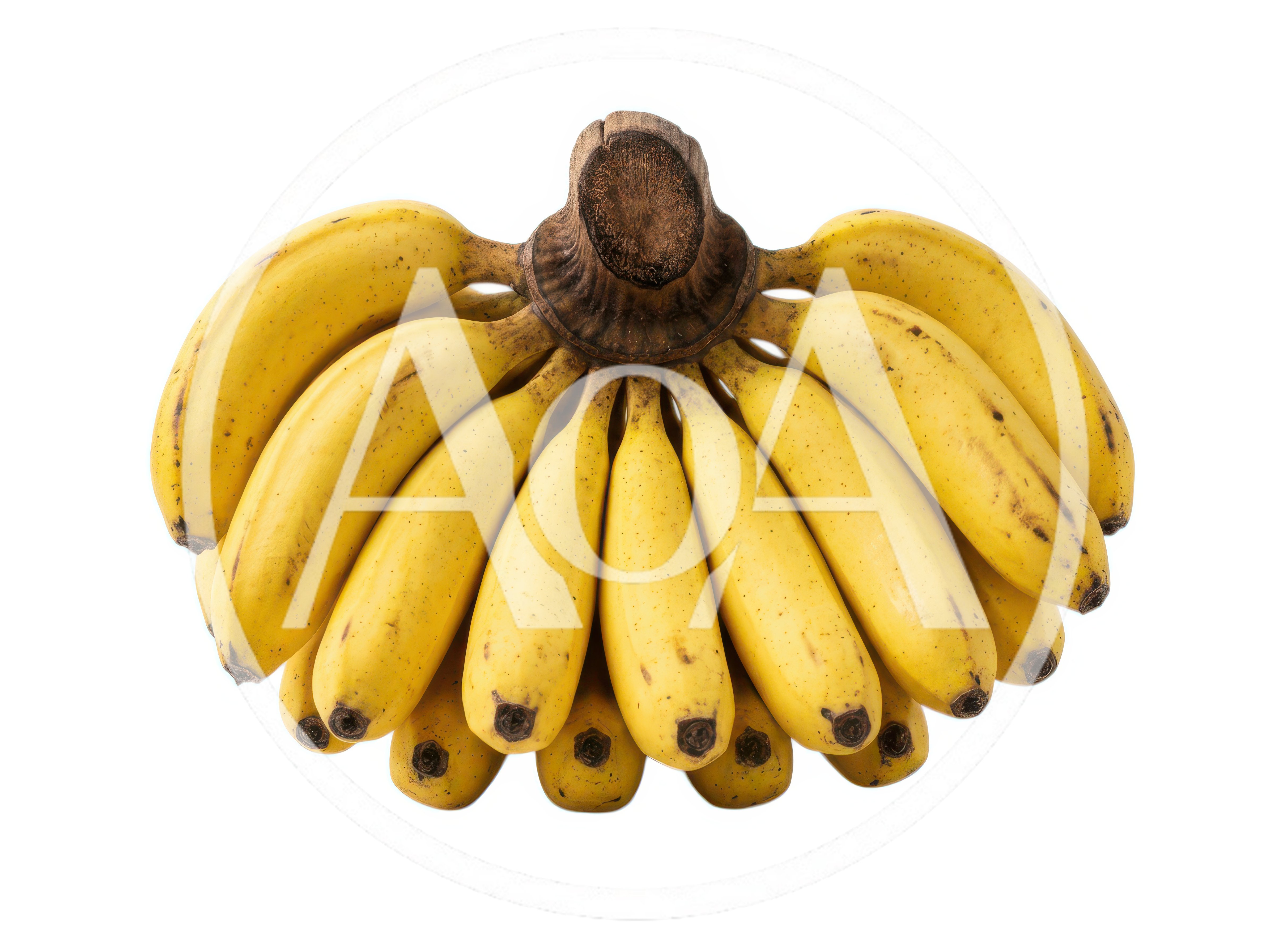 Bunch Of Fresh Ripe Yellow Bananas