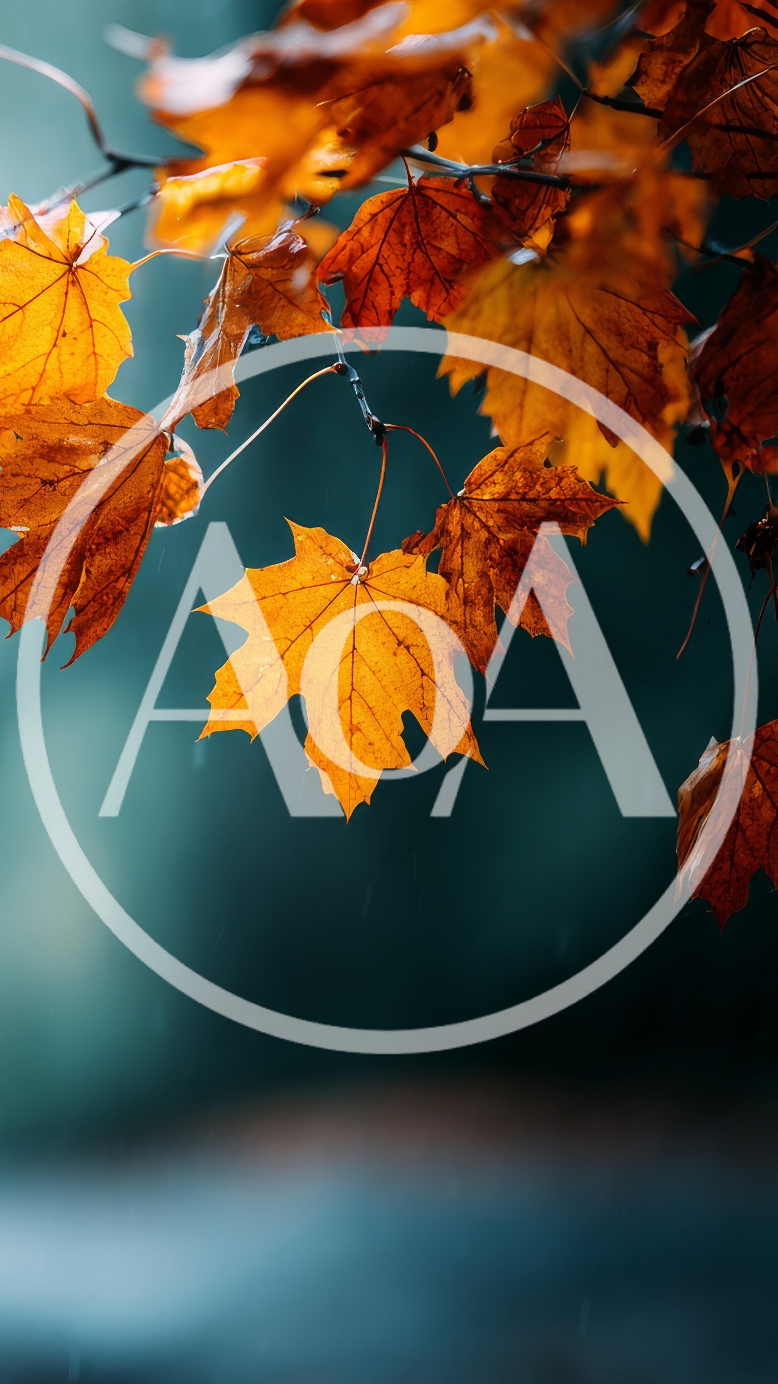 Golden Autumn Maple Leaves Hanging On A Branch