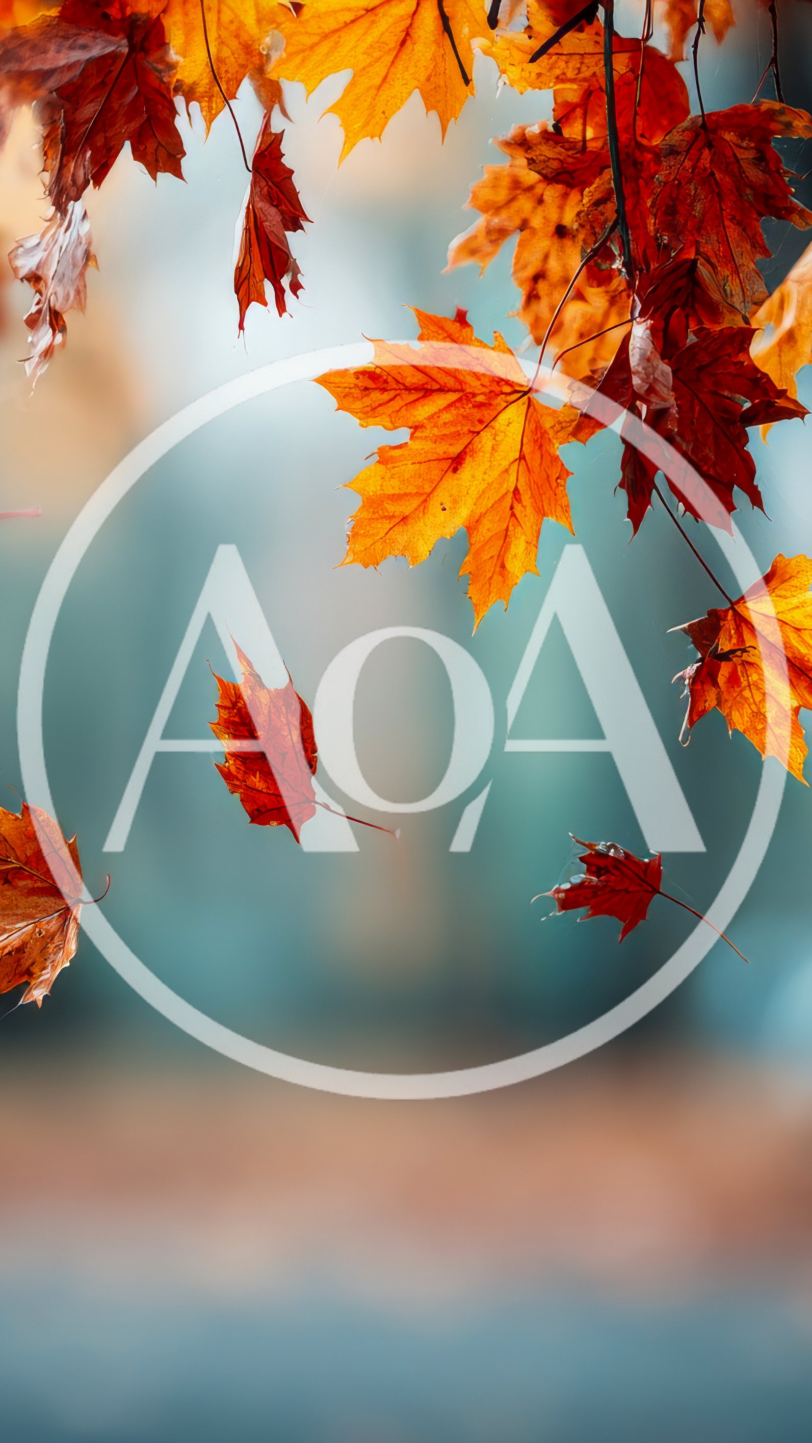 Falling Autumn Maple Leaves Against Blurred Background