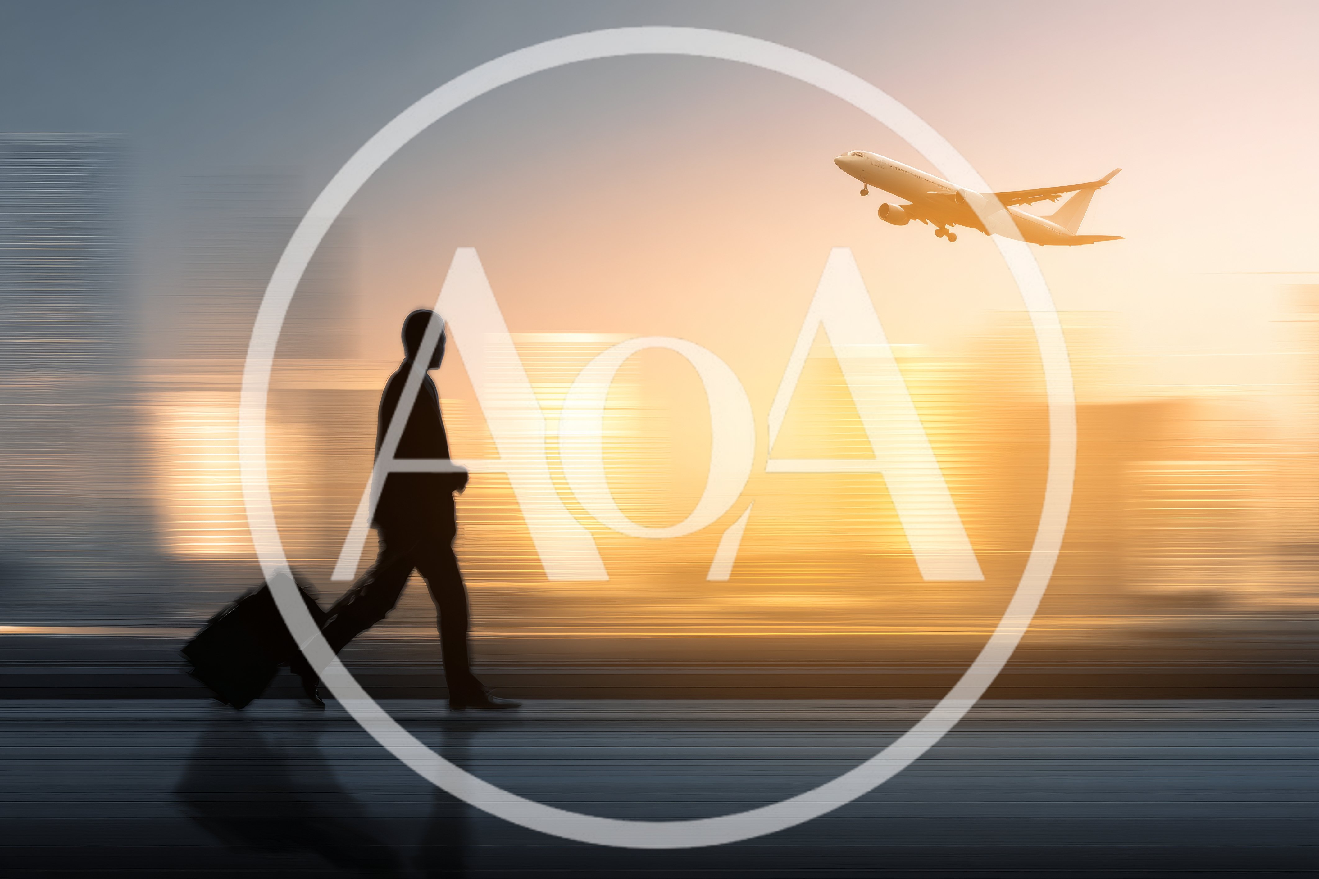 Businessman Walking With Luggage Near Departing Airplane