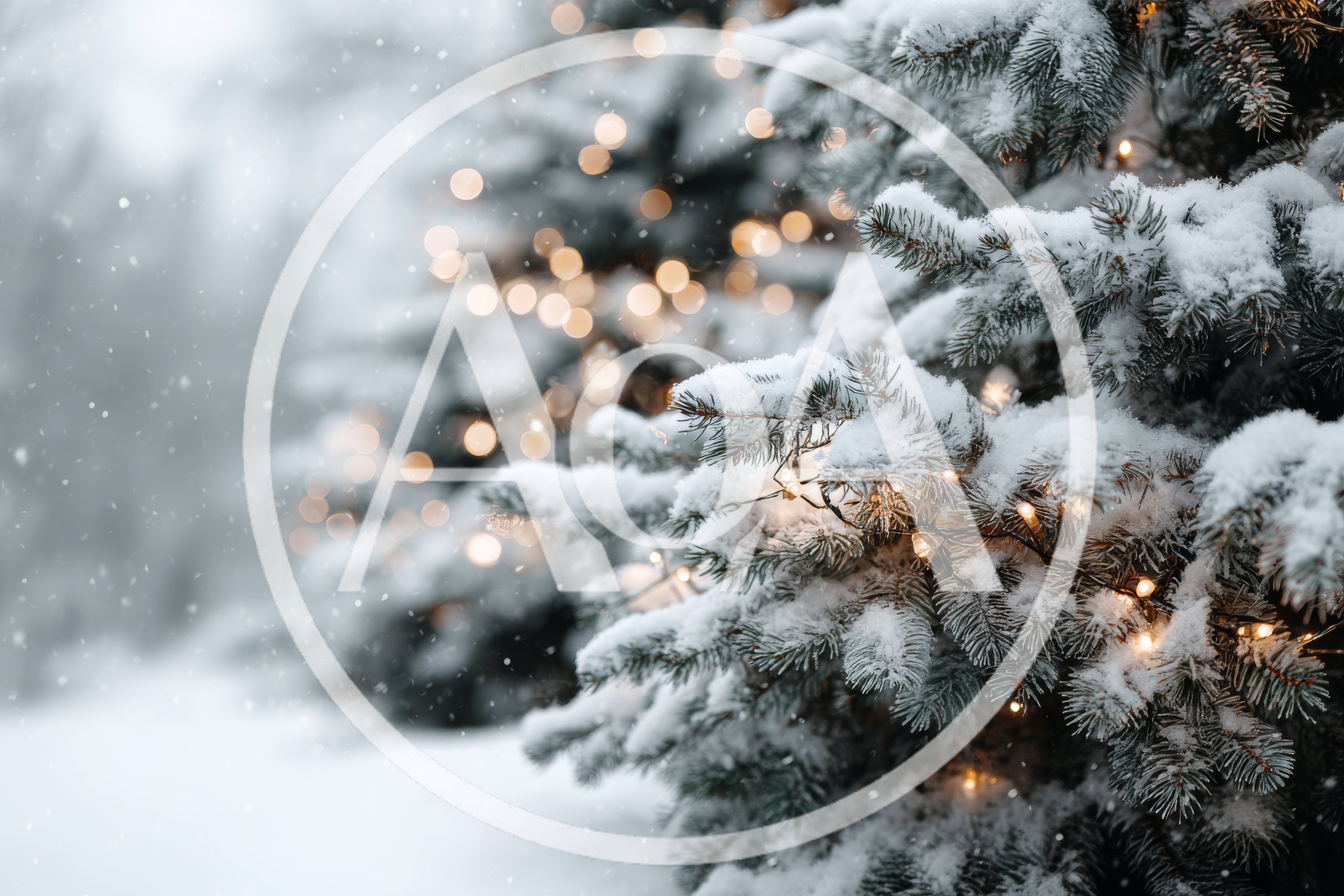 Snow Covered Pine Tree With Christmas Lights