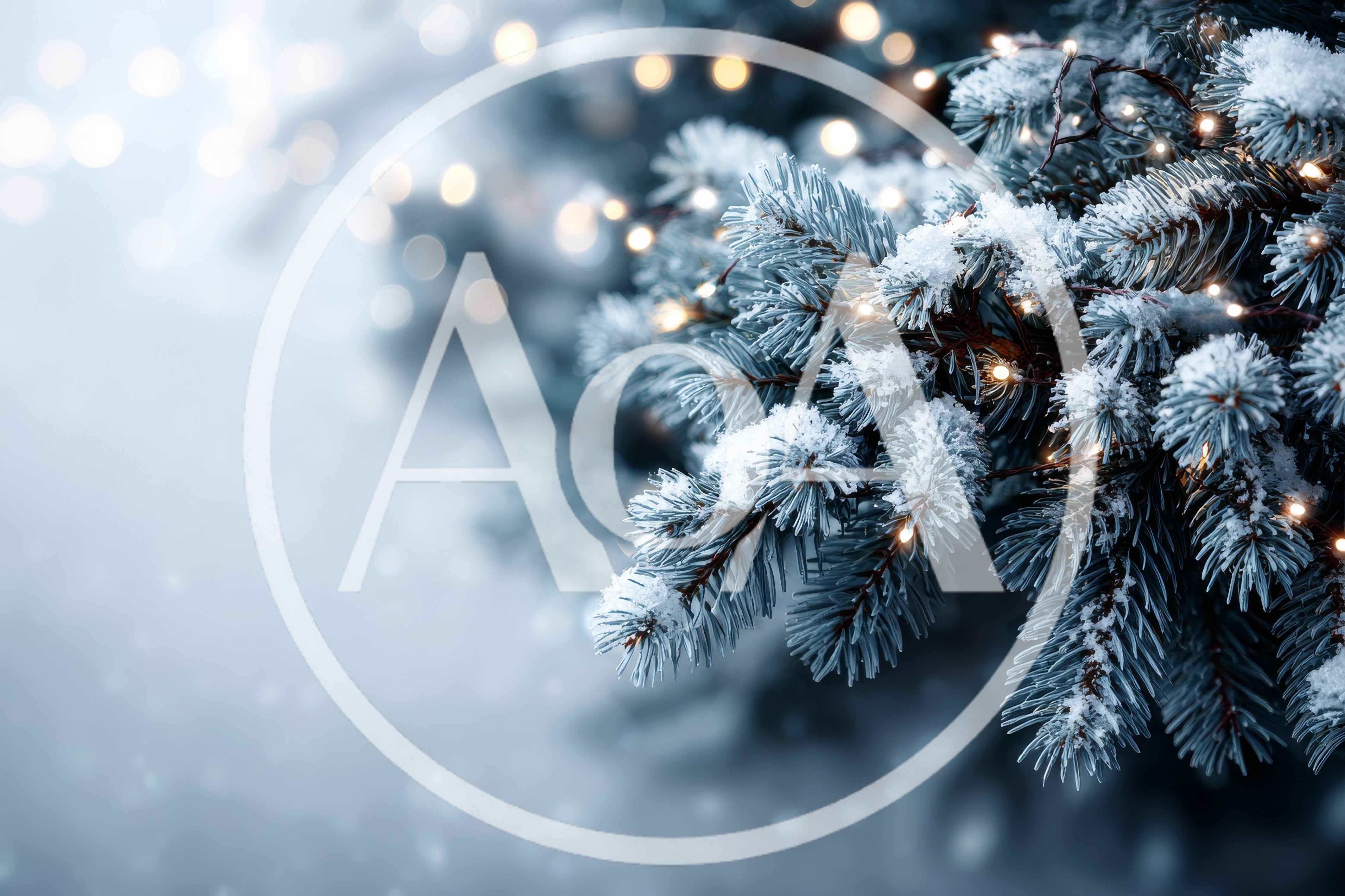 Snow Covered Pine Branches With Christmas Lights