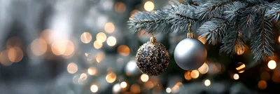 Christmas Ornaments Hanging on Snowy Pine Tree