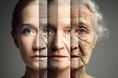 Composite Portrait Showing Human Aging Process