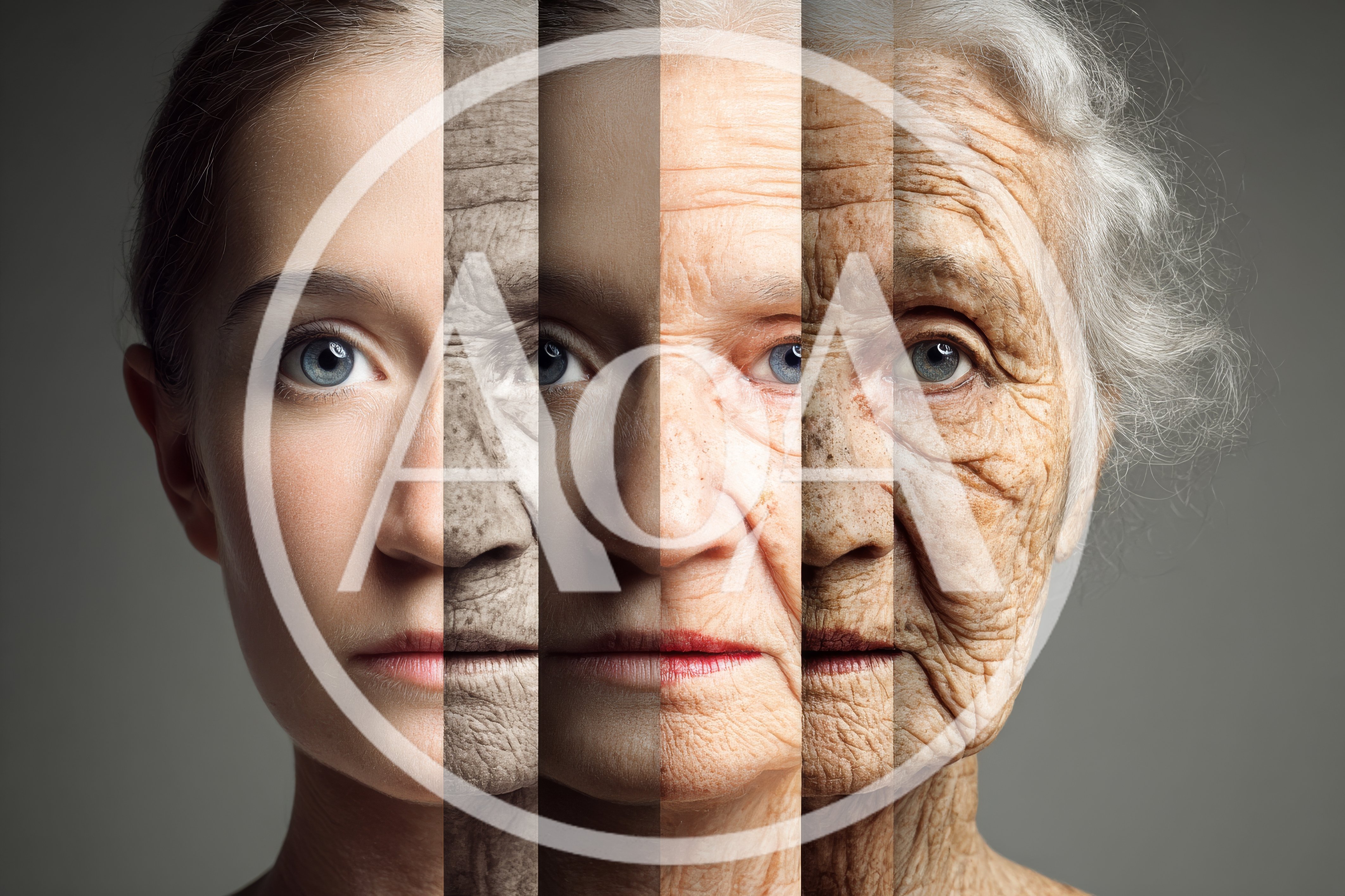 Composite Portrait Showing Human Aging Process