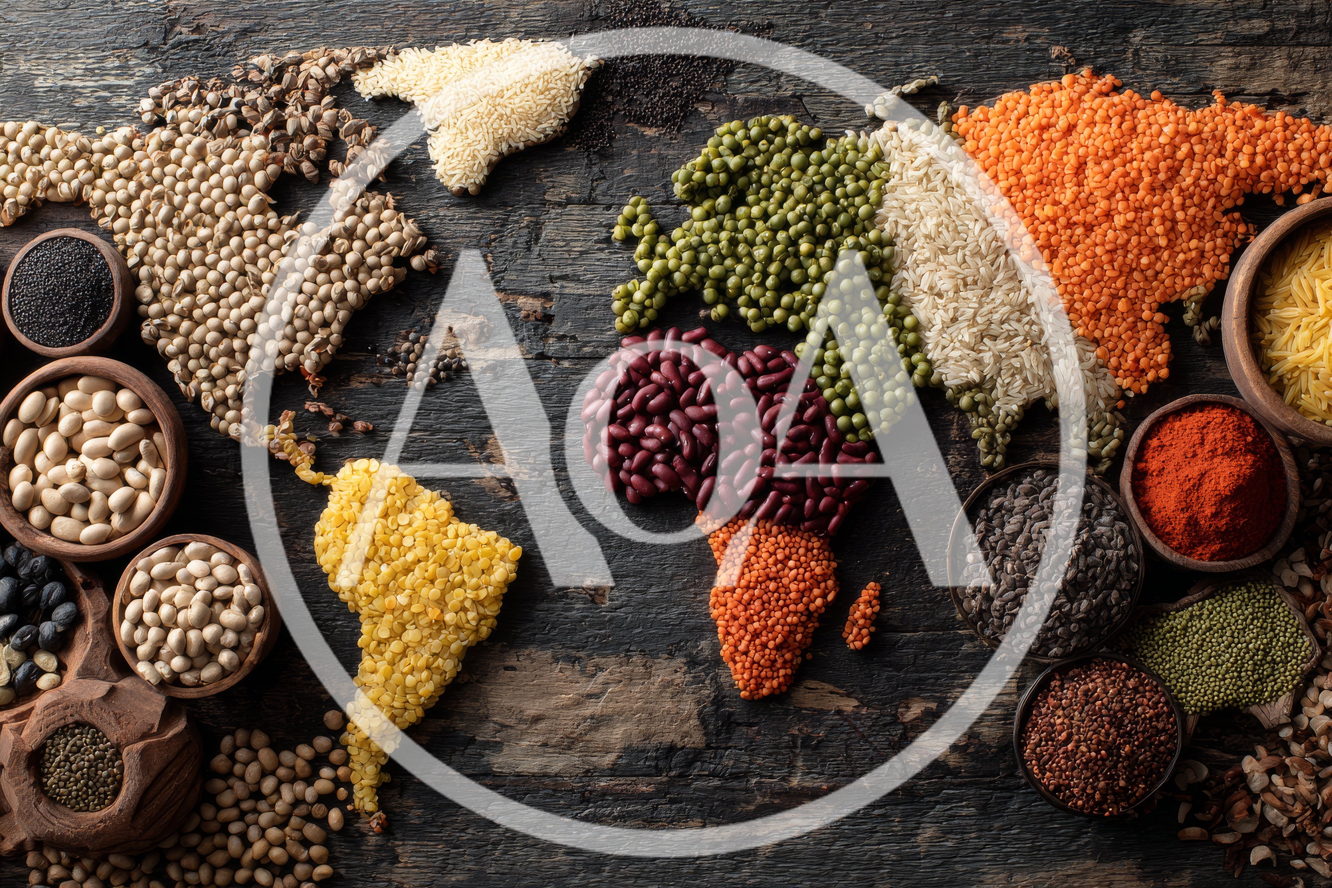 World Map Made Of Various Legumes And Grains