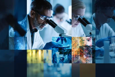 Scientists Conducting Research With Microscopes In Laboratory