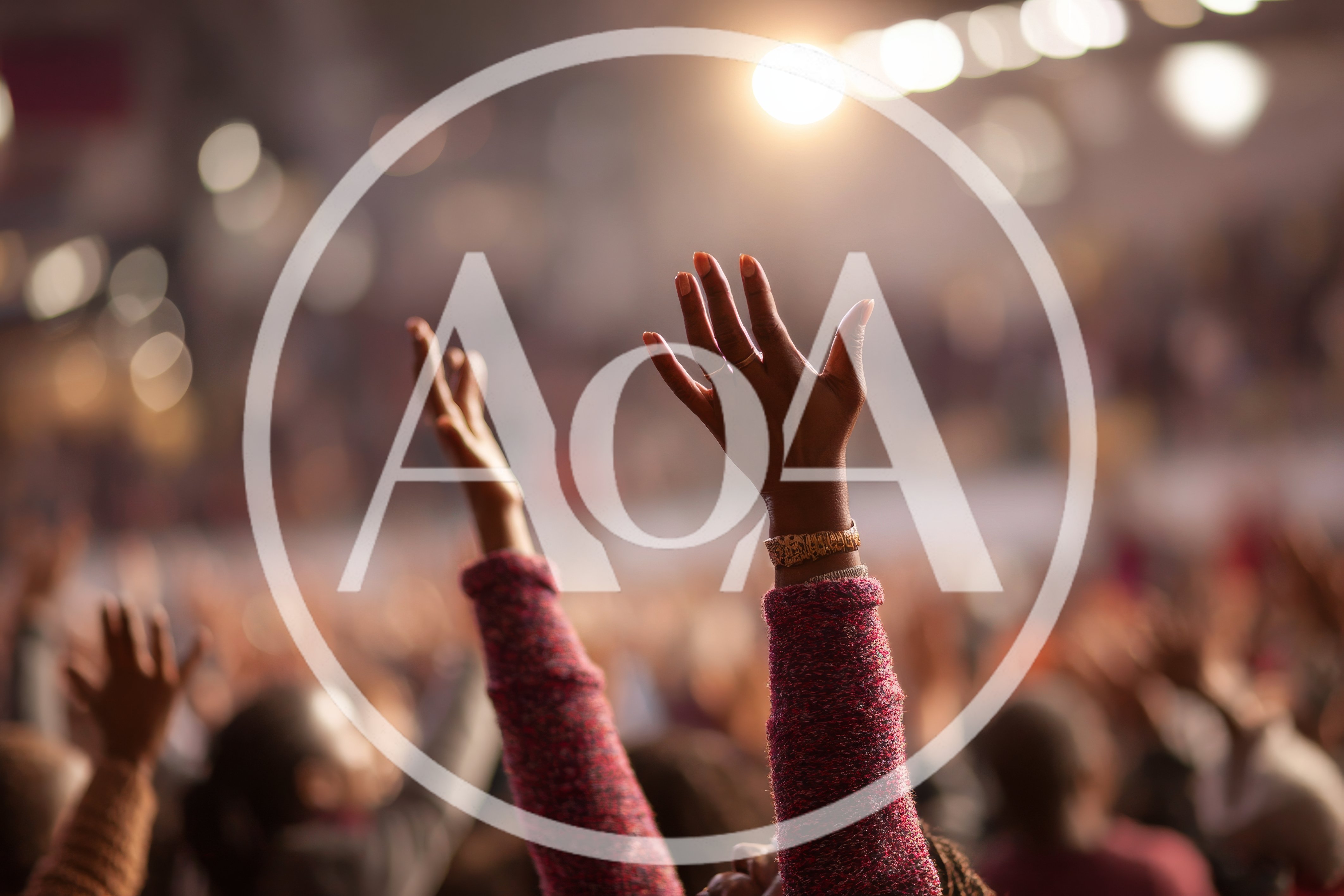 Audience Members Raising Hands During A Live Concert