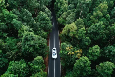 Aerial View Of White Car Driving Through Lush Forest