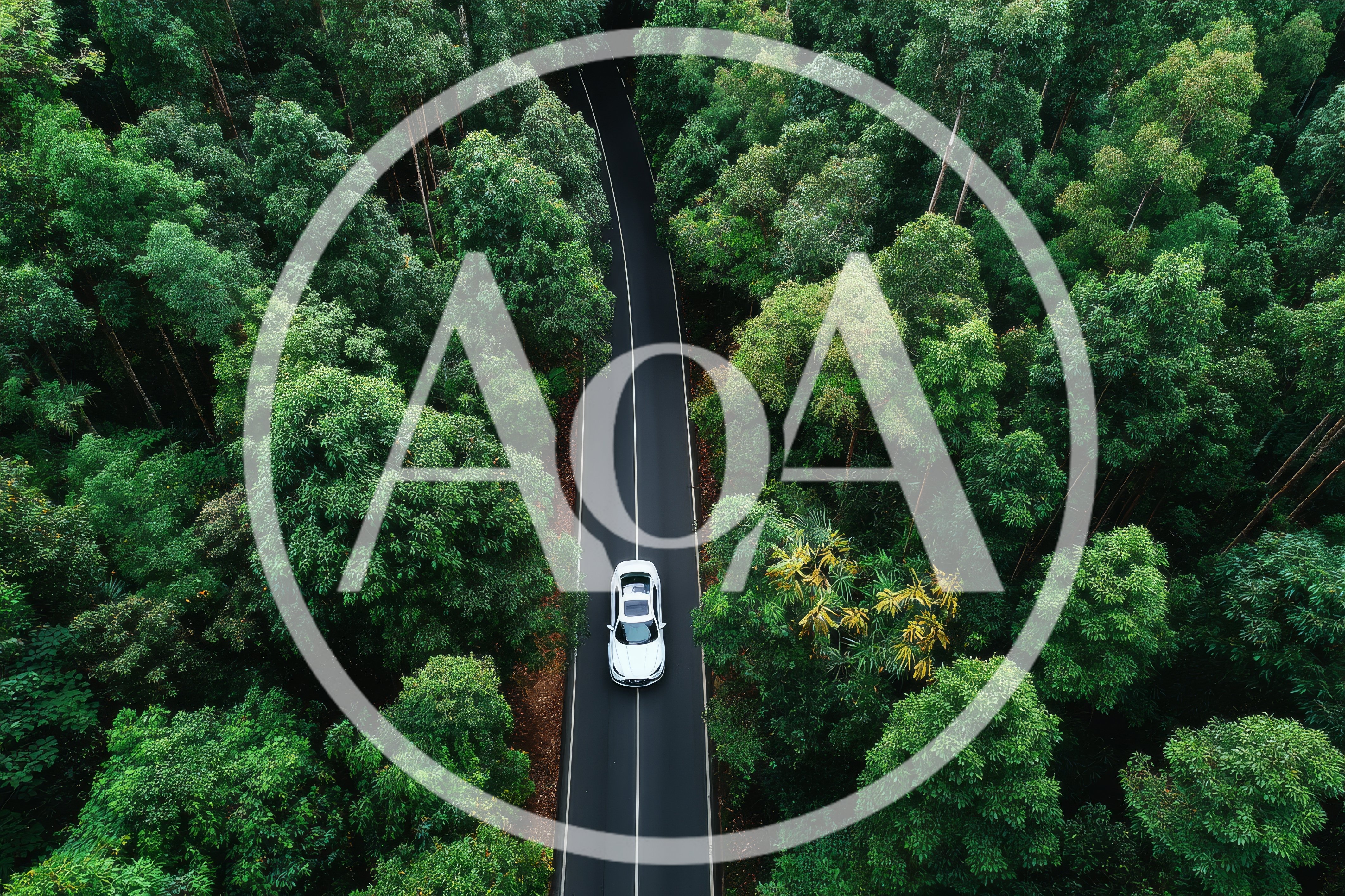Aerial View Of White Car Driving Through Lush Forest