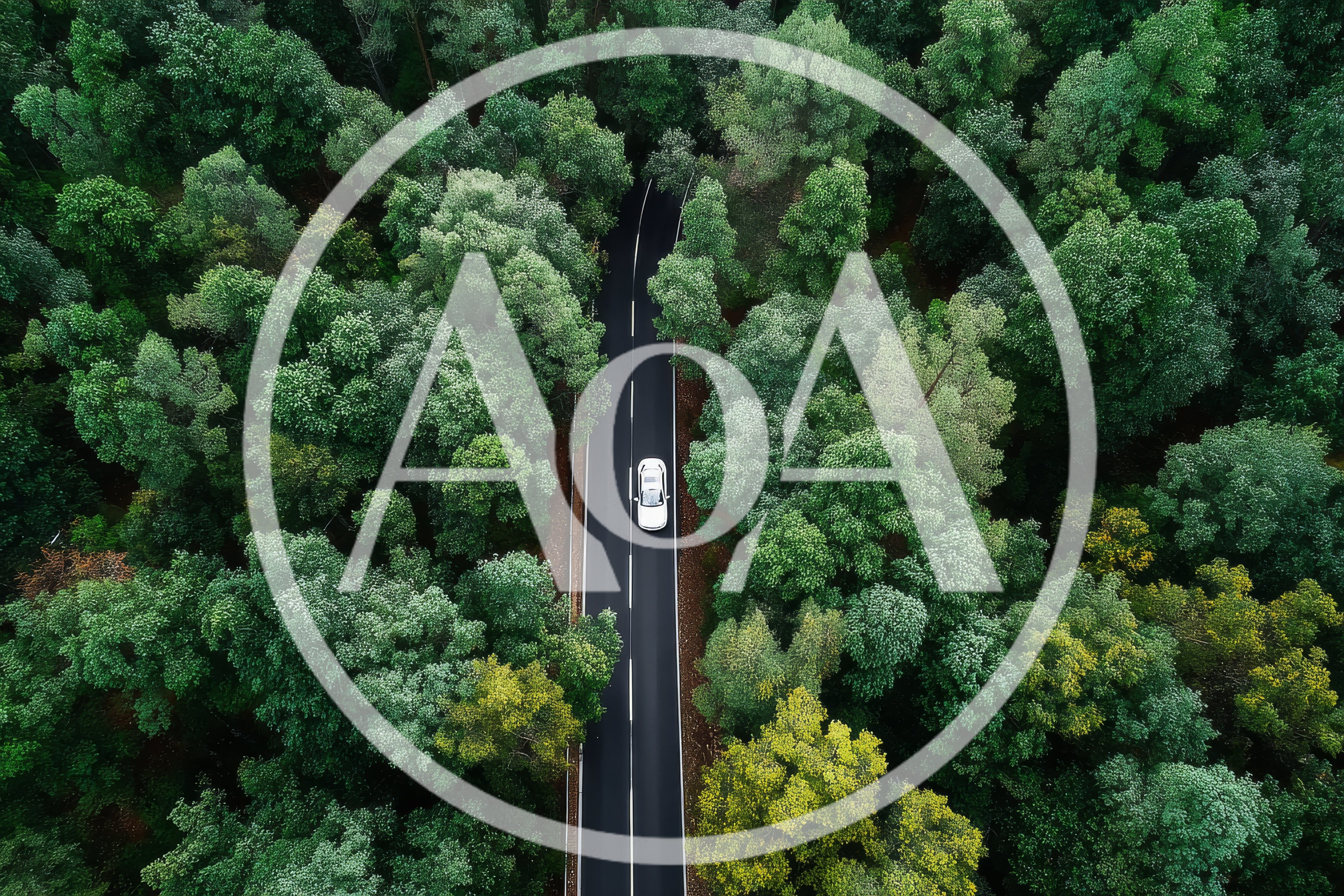 Aerial View Of A White Car Driving Through Forest