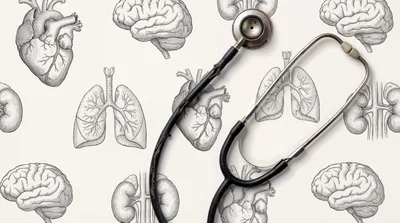 Stethoscope Over Anatomical Illustrations Of Human Organs