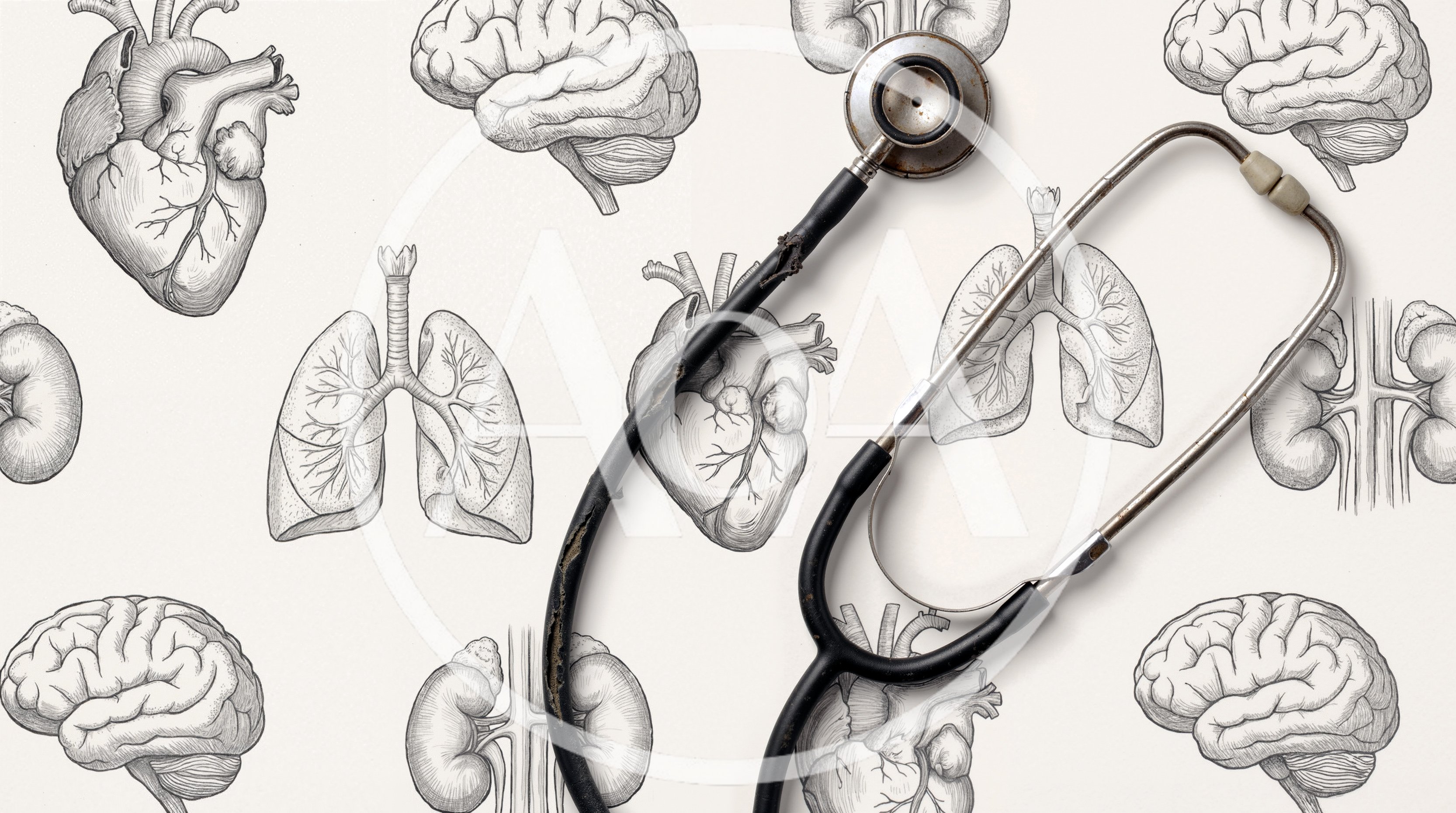 Stethoscope Over Anatomical Illustrations Of Human Organs
