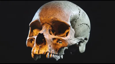 Human Skull Rotating Against A Dark Background