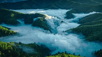 Thick Sea Of Clouds Flowing Over Lush Green Mountains