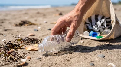 Volunteer Picking Up Plastic Bottle On Beach