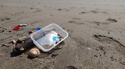 Plastic Food Container Littering A Sandy Beach