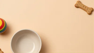 Dog Bowl With Toy And Treat On Beige Background