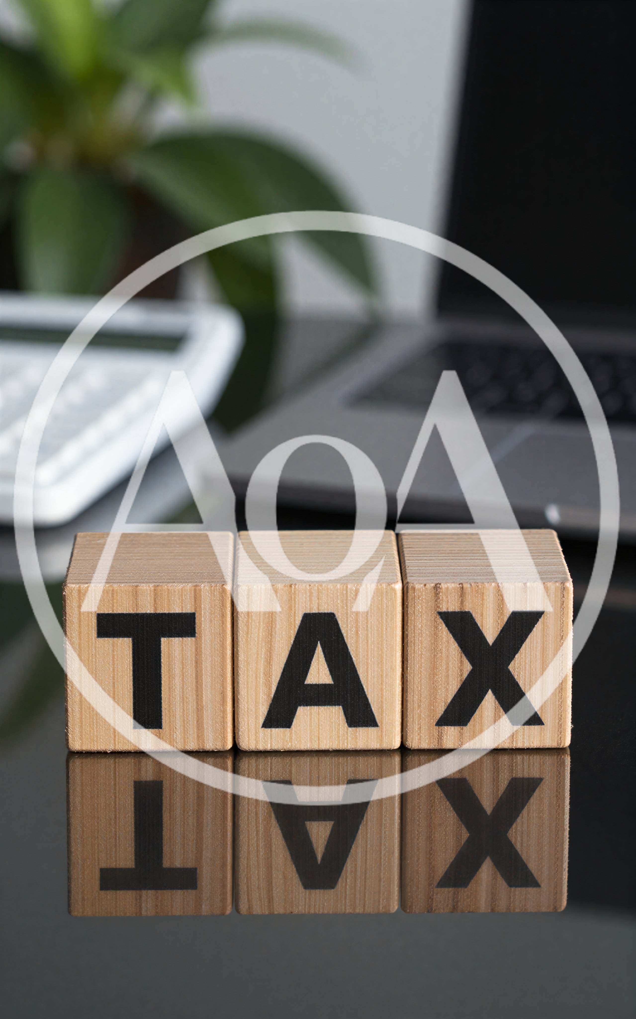 Wooden Blocks Spelling Tax on Office Desk