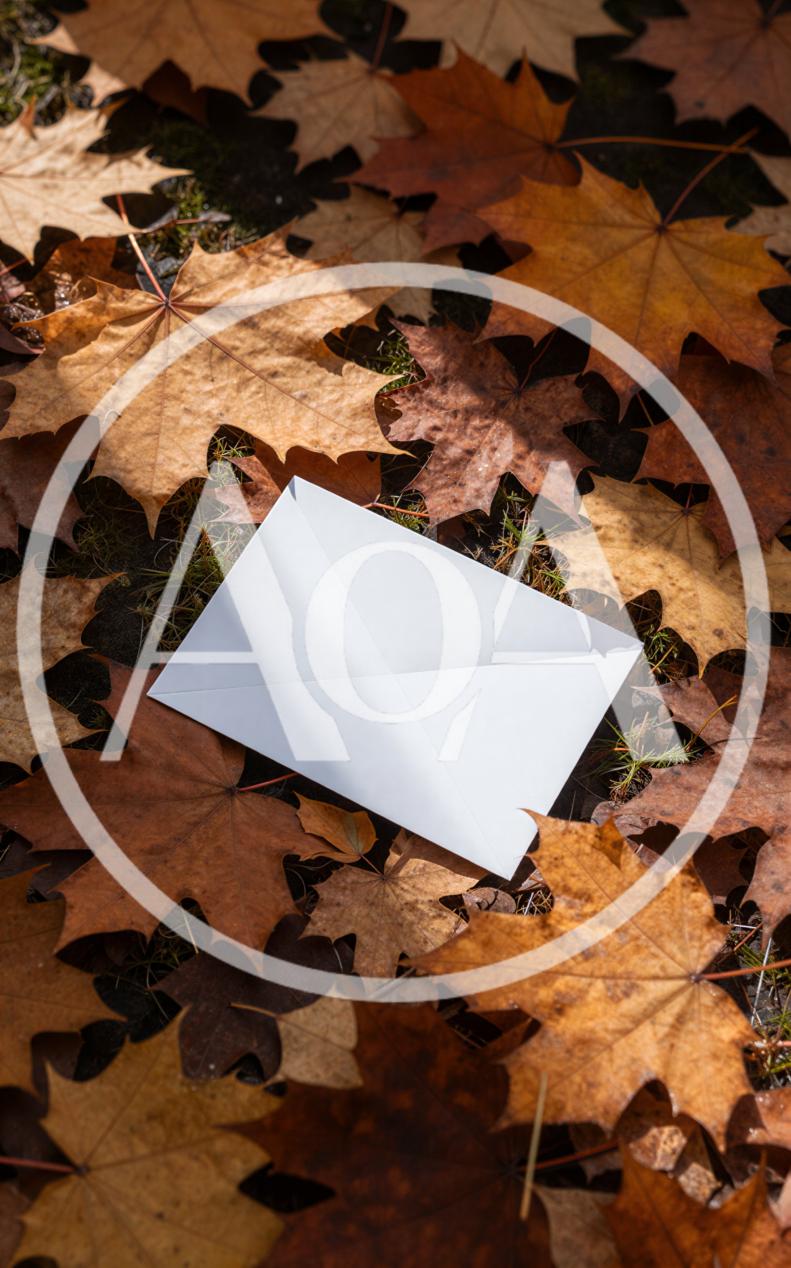 White Envelope Resting On Fallen Autumn Leaves