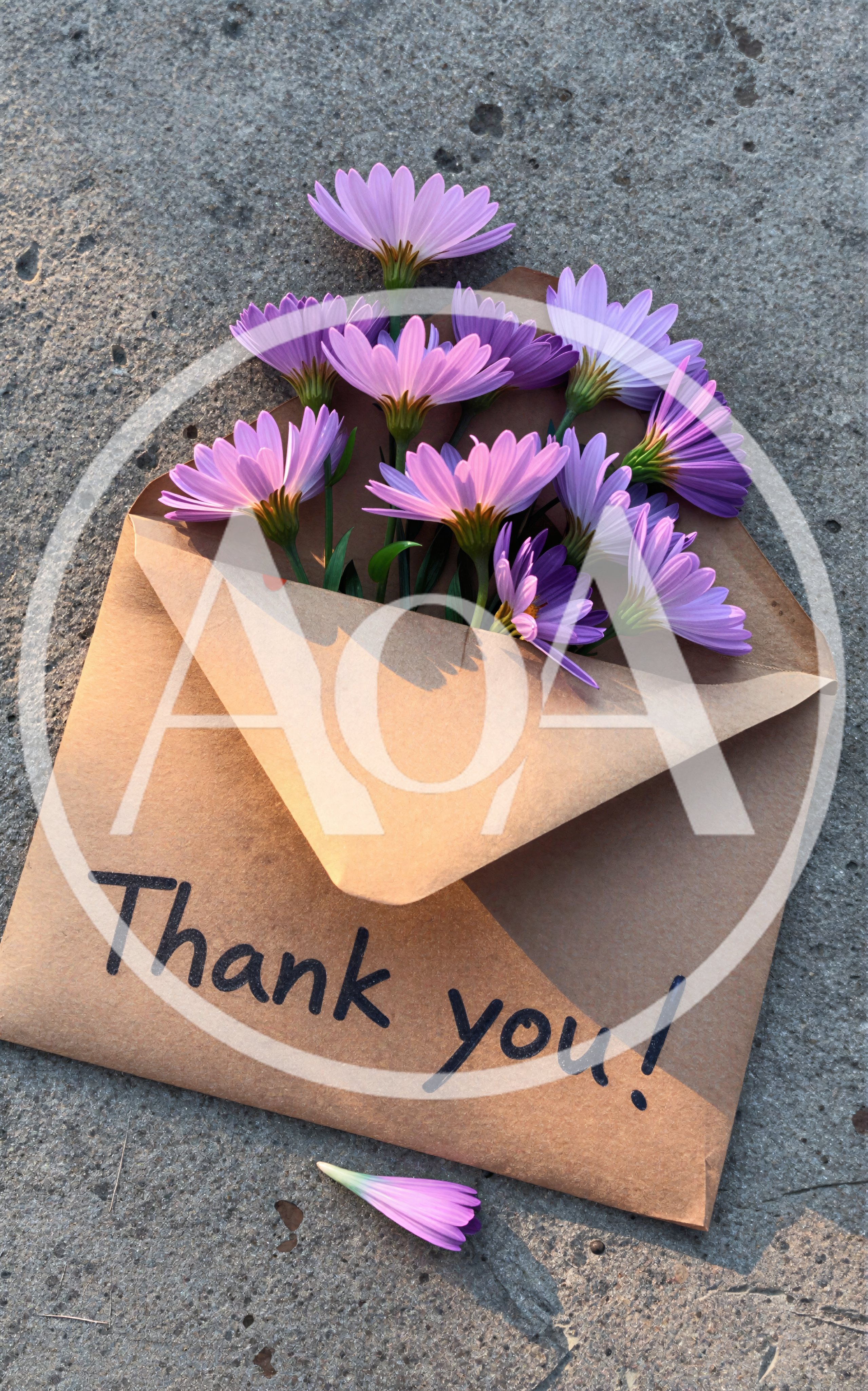 Purple Daisy Flowers Inside A Thank You Envelope