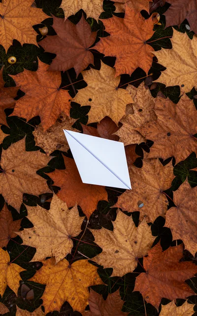 White Paper Boat Resting On Fallen Autumn Leaves