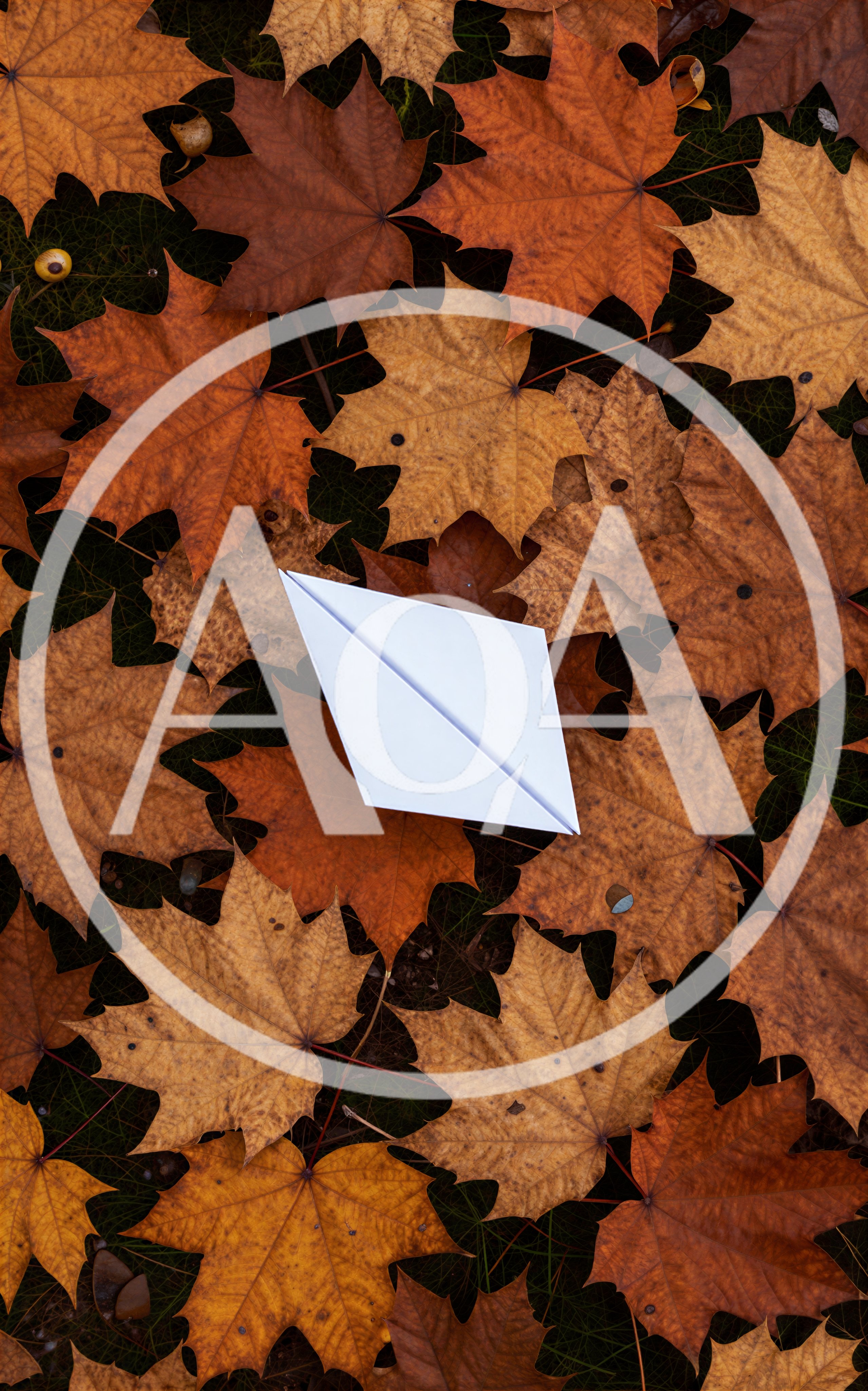 White Paper Boat Resting On Fallen Autumn Leaves