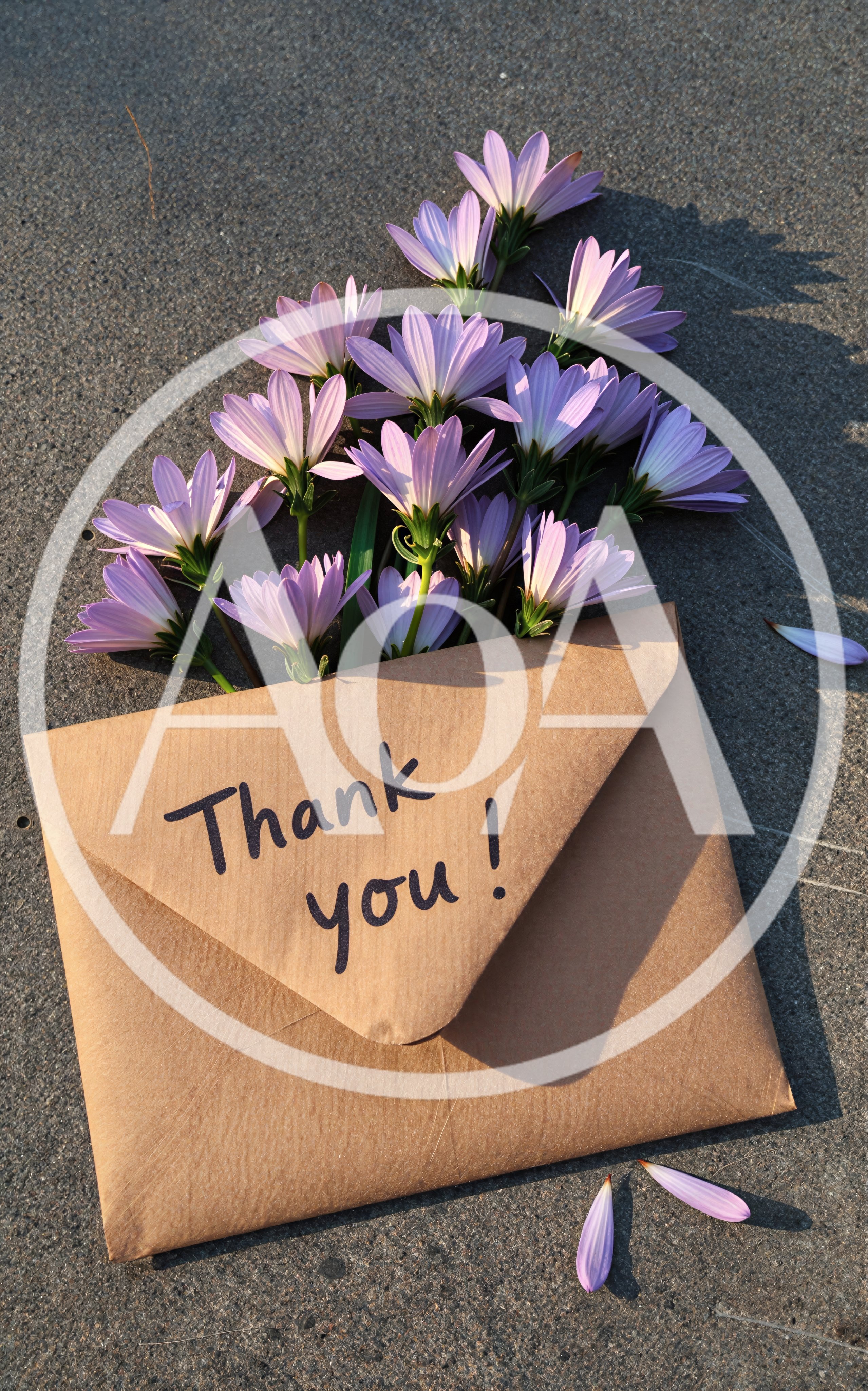 Thank You Note With Purple Flowers On Concrete