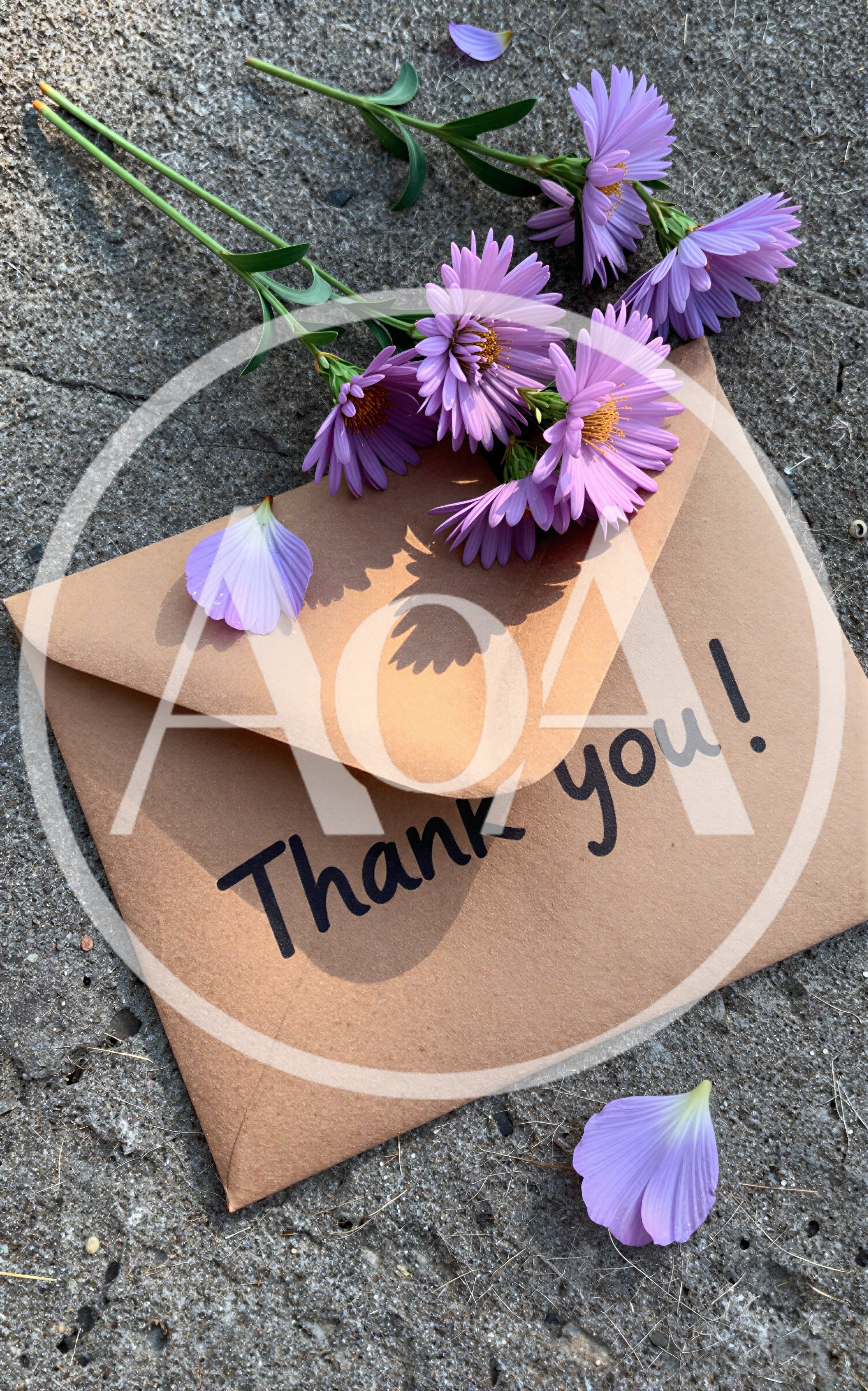 Purple Aster Flowers With Thank You Envelope