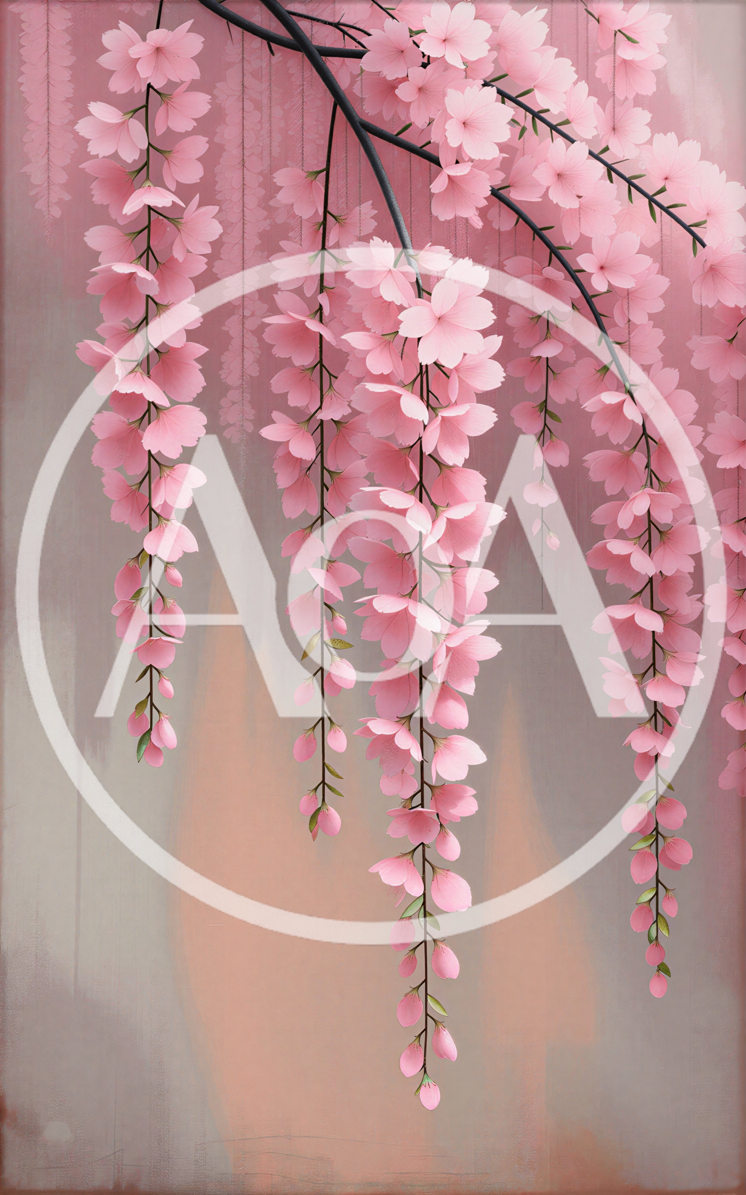 Pink Wisteria Flowers Hanging From Branches