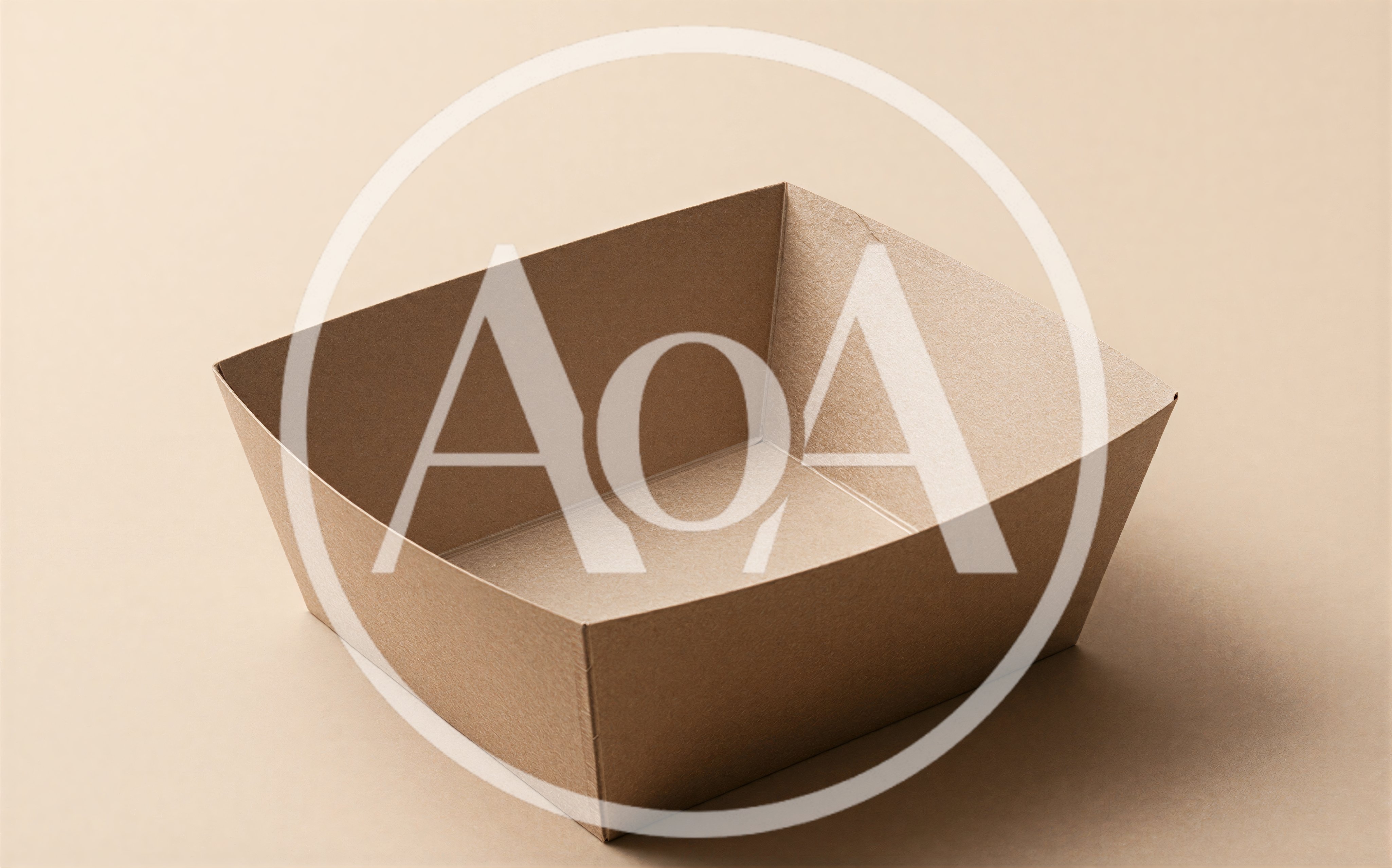 Empty Brown Cardboard Food Tray