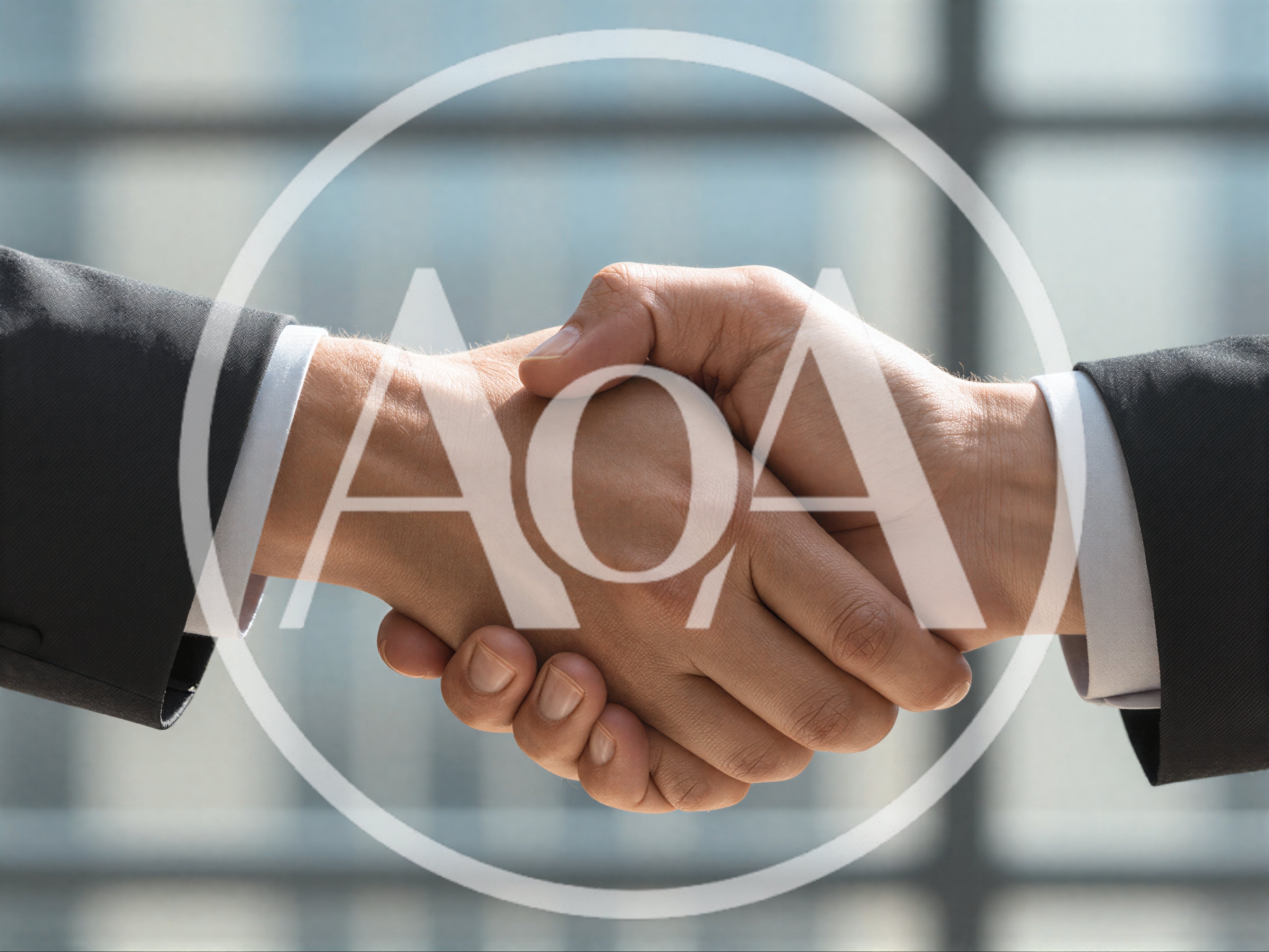 Professional Business Handshake Between Two Partners