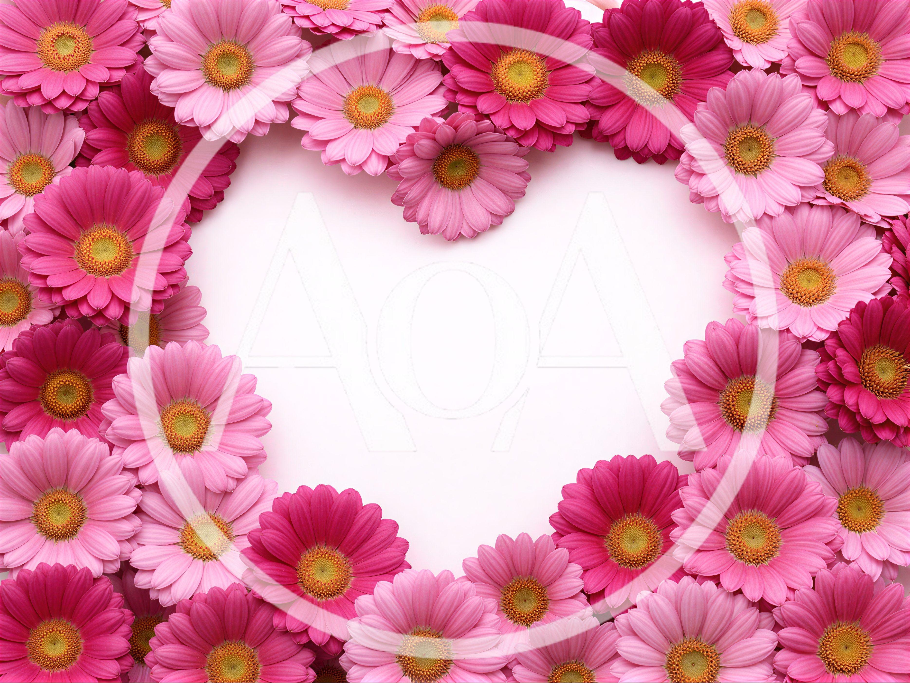 Heart Shape Frame Made Of Pink Gerbera Flowers