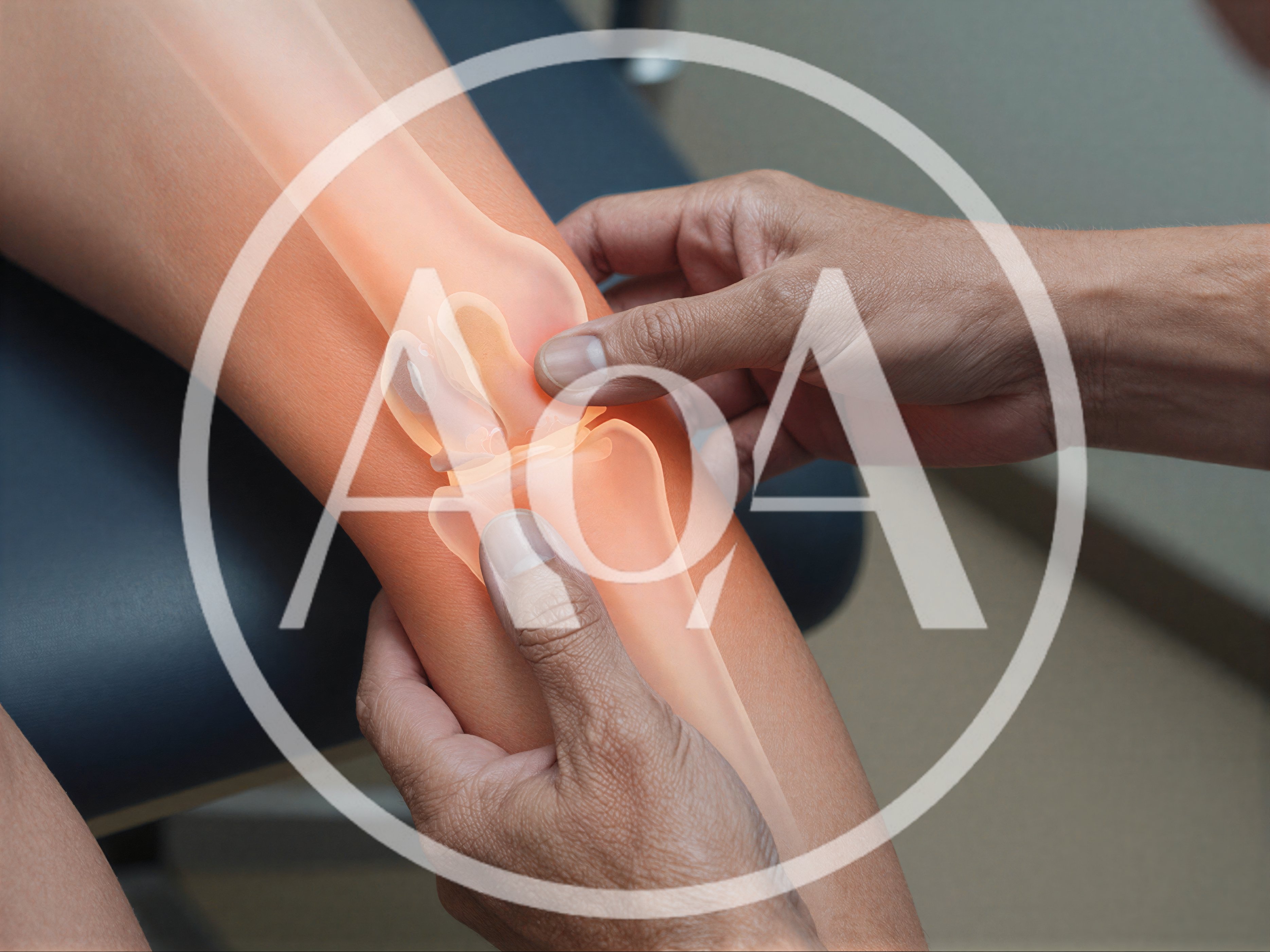 Doctor Examining Patient Knee With Digital Anatomy Overlay