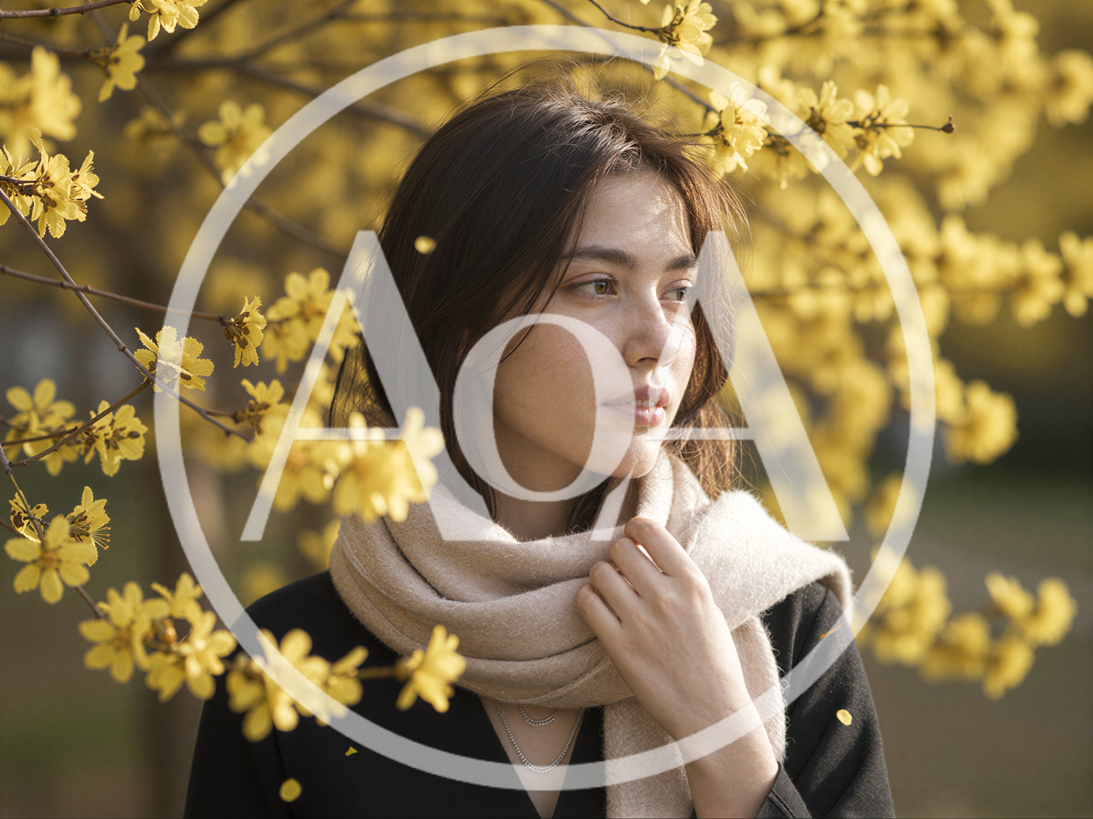 Young Woman Posing Amidst Blooming Yellow Flowers